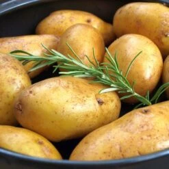 Schnellkochtopf - Ø 320 Mm - Höhe: 230 Mm - Inkl. Deckel -Berühmter Küchengeräte Laden 636846196955075494 3b39 1