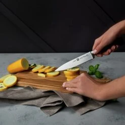 ZWILLING | VIER STERNE - Fleischmesser - Klinge 20cm -Berühmter Küchengeräte Laden FMZ160 FLZ200 inuse 1 bcce