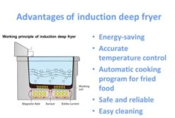Induktions-Fritteuse - 8 Liter - 3,5 KW - Ablasshahn -Berühmter Küchengeräte Laden neu advantage induction f0ff